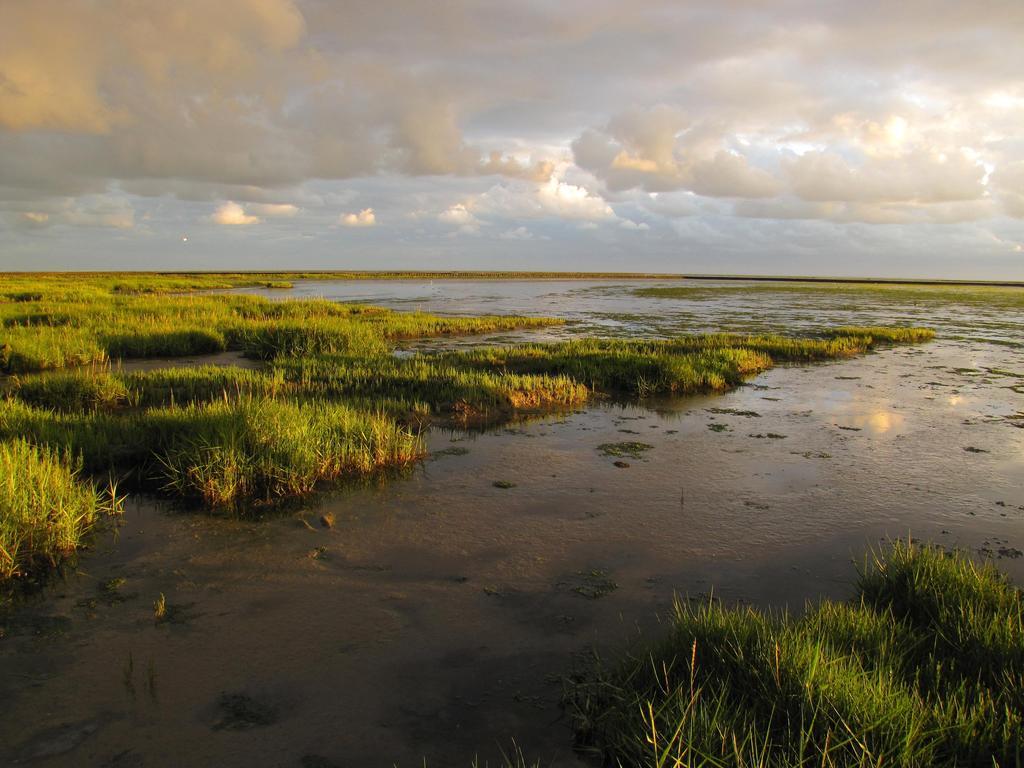 Hotel Waddengenot Pieterburen Luaran gambar